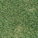 오천체육문화타운 이미지