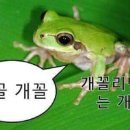 오늘도 우리집 비어 이미지