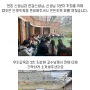 송림 꽃무지 풀무지 어린이집
