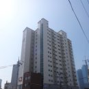 삼영일리아 이미지