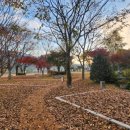 작은쉼터야영장 이미지