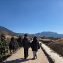 읍성3길 | 설연휴 순천 낙안읍성 뿌리깊은박물관 다녀온 후기｜가족여행 추천 순천 가볼만한곳