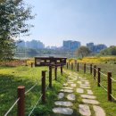 조일골프랜드 이미지