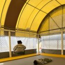 누리별 캠핑장 | 직접 가보니 왜 인기 있는지 알겠더라... 김천 누리별 캠핑장