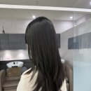 신데렐라 복구클리닉 하려다가 마곡헤어샵 에서 헤어 모발 클리닉 한 이유