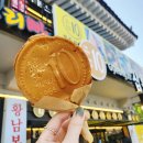 놋점 | 경주 가을 꽃구경 놋점들 백일홍 위치 첨성대 해바라기