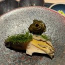 스시신카이