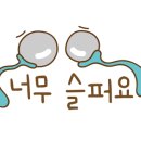 코코로한의원 네이버블로그