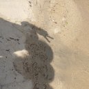 고성마을 | [국내여행맛집] 고성 바닷가 마을 후기