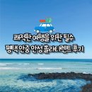 신대동자동차정비 | 쾌적한 여행을 위한 필수 평택 안중 안성 쏠라티렌트 후기 솔라티렌트