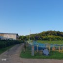 연천통현리지석묘 이미지