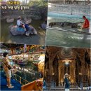 비례농장 | 태국 방콕 자유 여행 일정 및 경비 총정리 가족여행