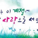 기업은행 동수원지점 앞 이미지