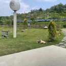 러스틱문 이미지