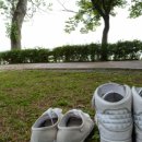 유월의 피크닉 이미지