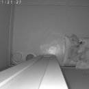 멍그니엘 이미지