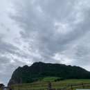 금산삼사랑농원