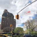 뉴욕뉴욕 이미지