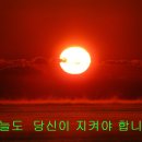 갈매길 이미지