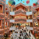 스타애견샵 이미지