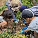 민들레연극마을 이미지