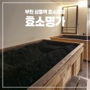 쑥힐링센터 | 부천 상동역 쑥 효소찜질 독소배출 다이어트 효소명가