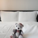 베어 워시(Bear Wash) | 해운대 신라스테이 rewards spring flora bear 패키지 패밀리트윈 씨티뷰 조식 후기