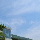 마소마레 이미지
