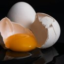 (주)정수사료 이미지