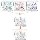 앙상블(ensemble) 이미지