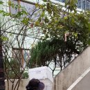 기로(여)경로당 이미지