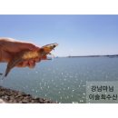수산 마켓 이미지