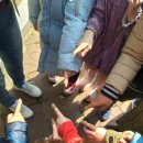 서룡초등학교(병설) 이미지