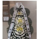 좋은삼정병원 이미지