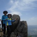 운봉읍 소석마을 | 우리나라 최고의 철쭉 군락지 바래봉