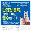 수정동로 네이버블로그