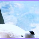 세이프플란트치과의원 이미지