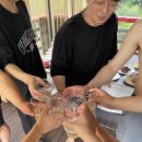 하늘정원펜션 | 양주 하늘정원펜션, 단체 계곡 여름 휴양지 2번째 방문 후기