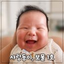 봉선호