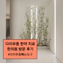 순환한의원 | [공지] 혈액순환 한약 복용 후기 :: 다리부종으로 한의원 다녀왔어용