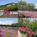 국악나루협동조합 | 서울 불암산 철쭉제 주차·가는법 총정리, 방문 후기