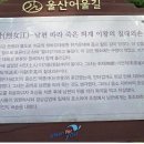 울산 어울길 5, 6 구간 이미지