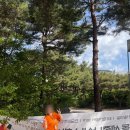 정민인쇄문구 | [우리말가꿈이 26기] 0512 세종나신날 행사 후기