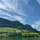 루체른 | 2026 루체른 숙소 추천 (실제 숙박 후기 / 최저가 비교 / 위치별 장단점)