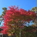 하늘중앙로1 | 본죽 하늘도시점 단팥죽 후기｜팥죽 아닌 단팥죽 찾는다면 여기!