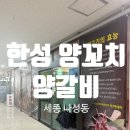 풍미양꼬치 | [세종 나성동] 나성동맛집 "한성양꼬치, 양갈비" 풍미가지 추천!!! 후기