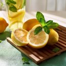 (주)레몬 이미지