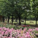 해돋이공원(더샾 앞) 이미지