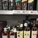 와일드버팔로
