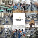 오렌지애견 이미지